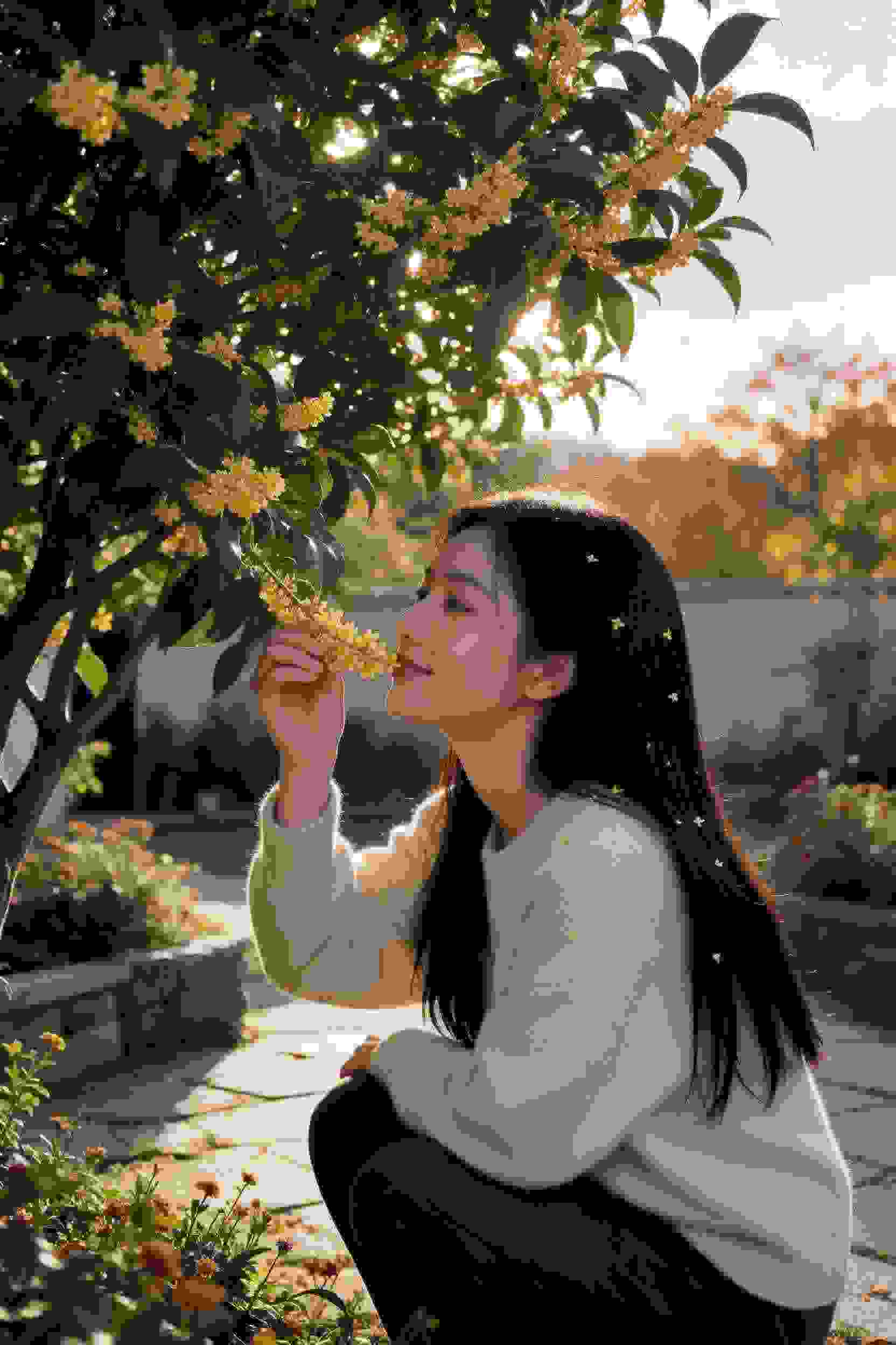 甜蜜蜜